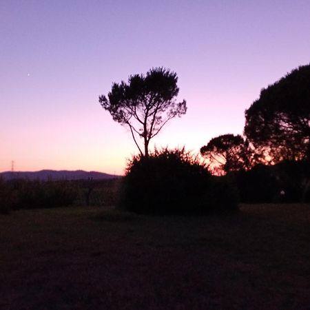 Borgo De' Muracci Ribolla Kültér fotó