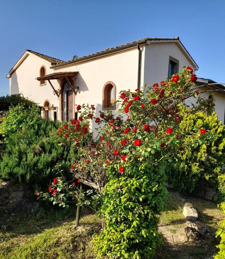 Borgo De' Muracci Ribolla Kültér fotó