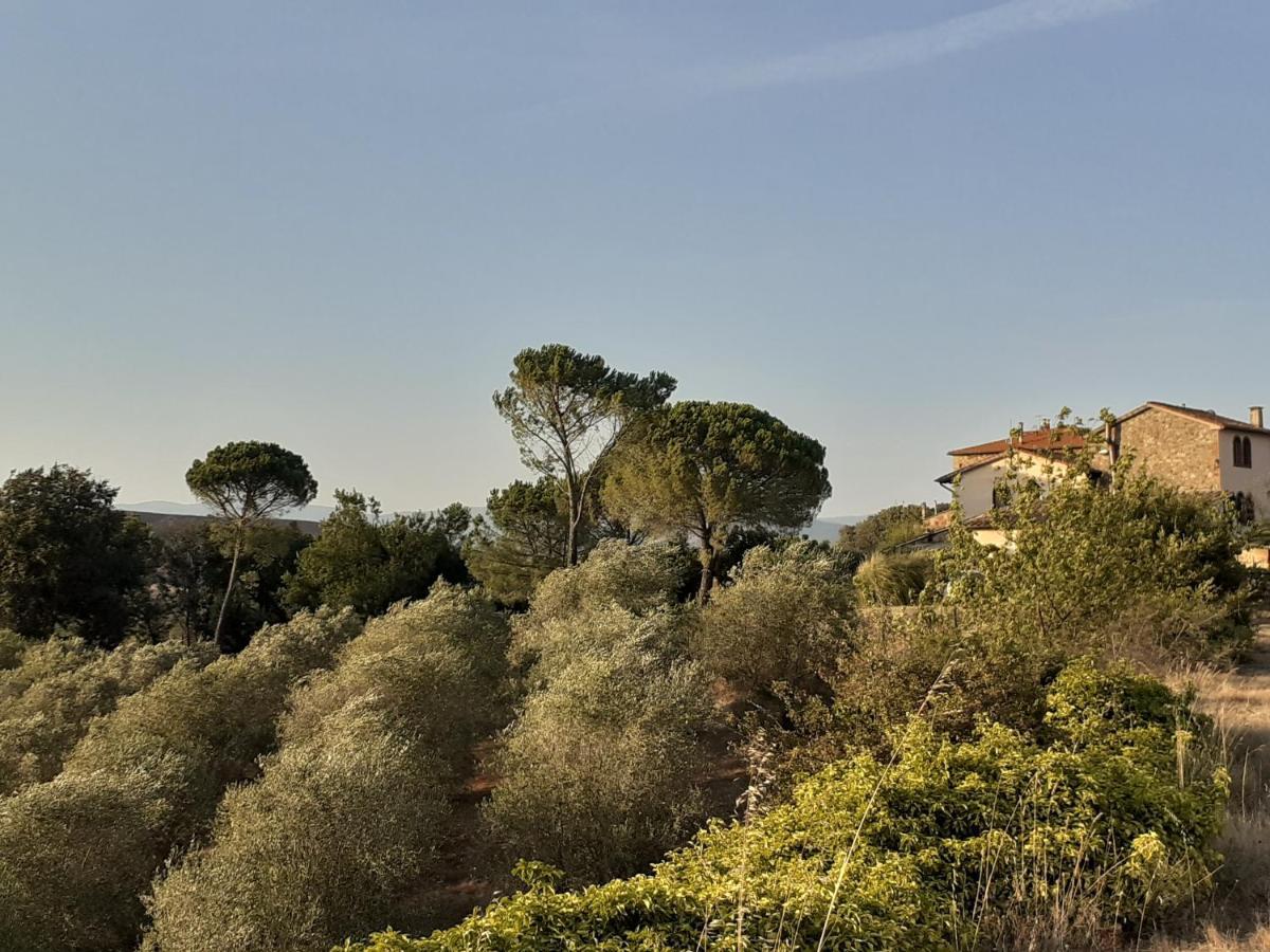 Borgo De' Muracci Ribolla Kültér fotó