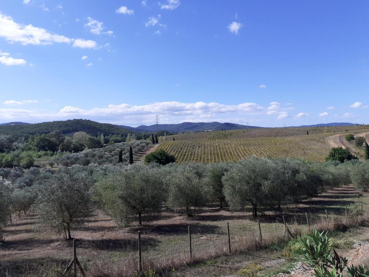 Borgo De' Muracci Ribolla Kültér fotó