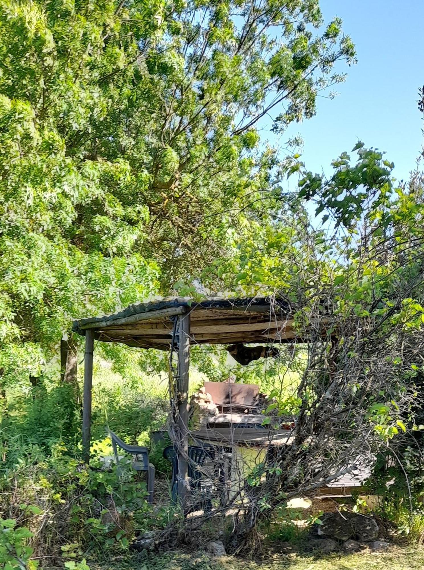 Borgo De' Muracci Ribolla Kültér fotó