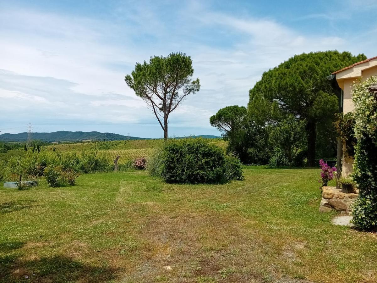 Borgo De' Muracci Ribolla Kültér fotó