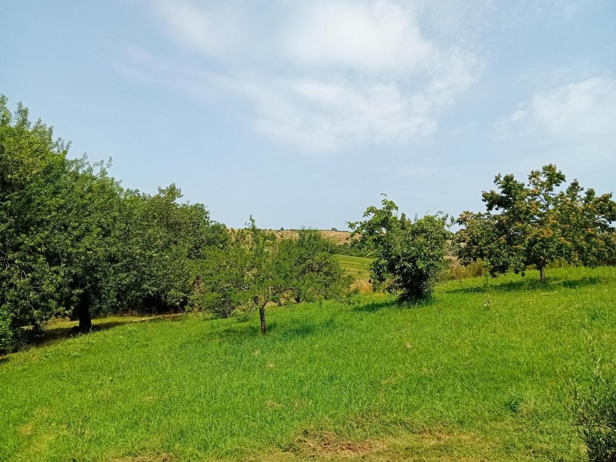 Borgo De' Muracci Ribolla Kültér fotó