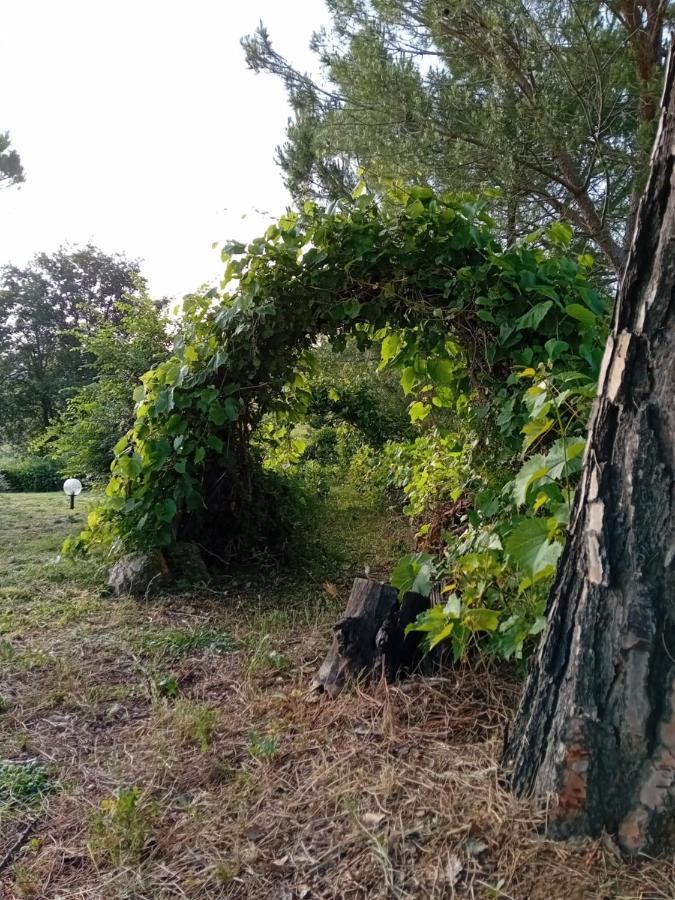 Borgo De' Muracci Ribolla Kültér fotó