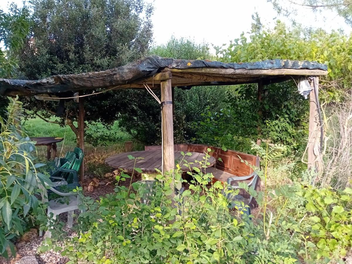 Borgo De' Muracci Ribolla Kültér fotó