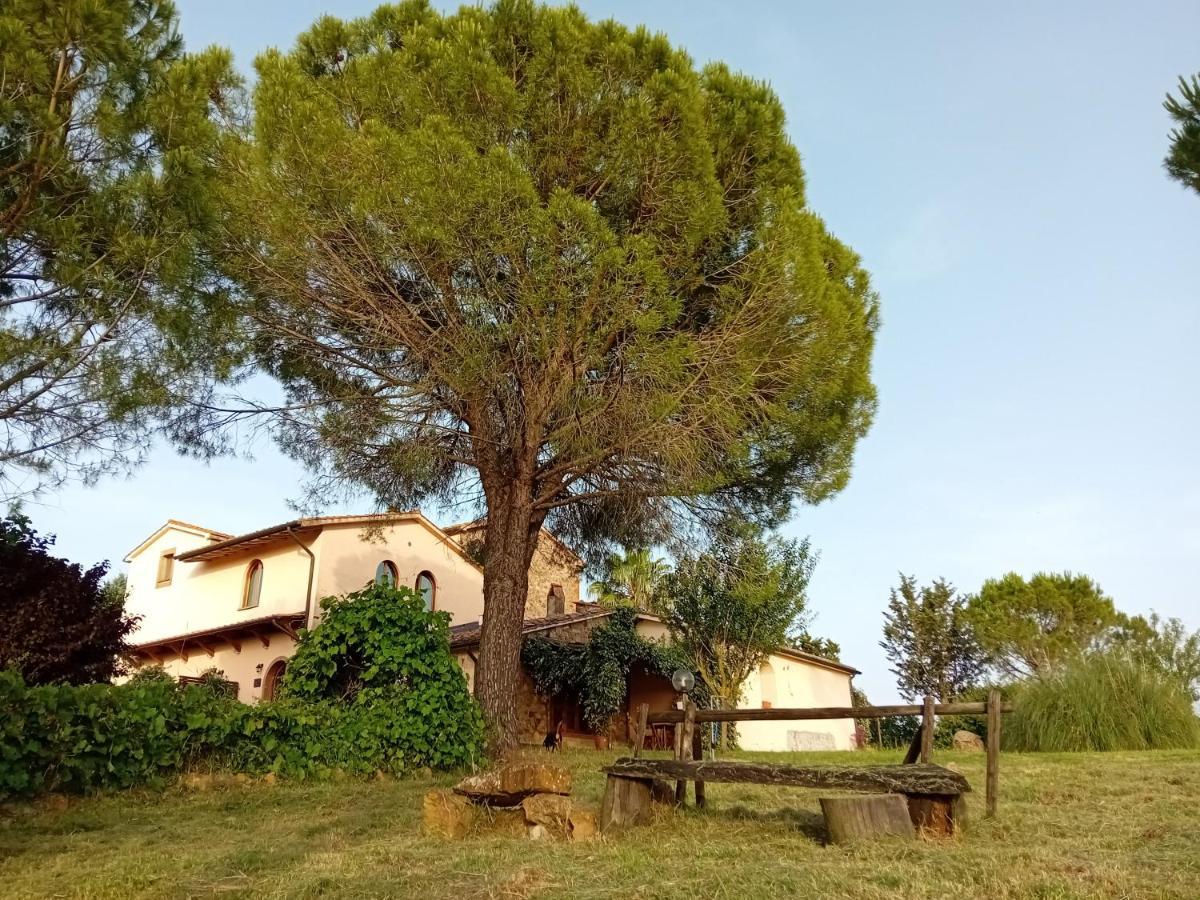 Borgo De' Muracci Ribolla Kültér fotó