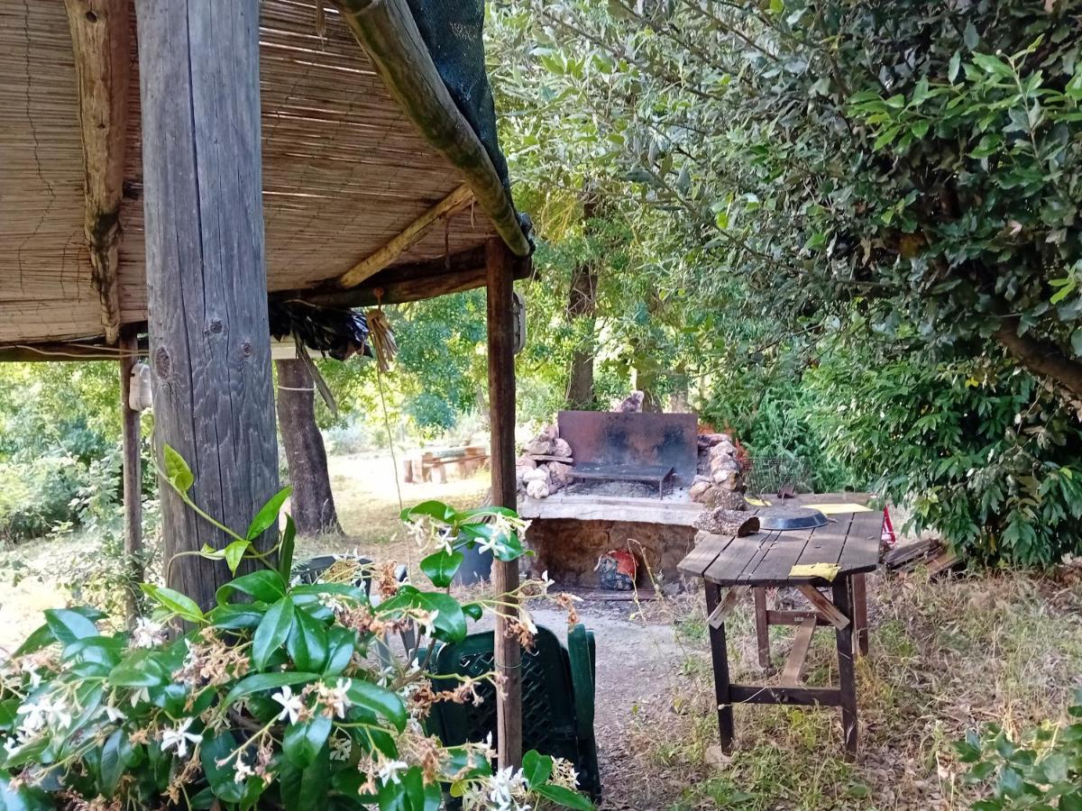 Borgo De' Muracci Ribolla Kültér fotó