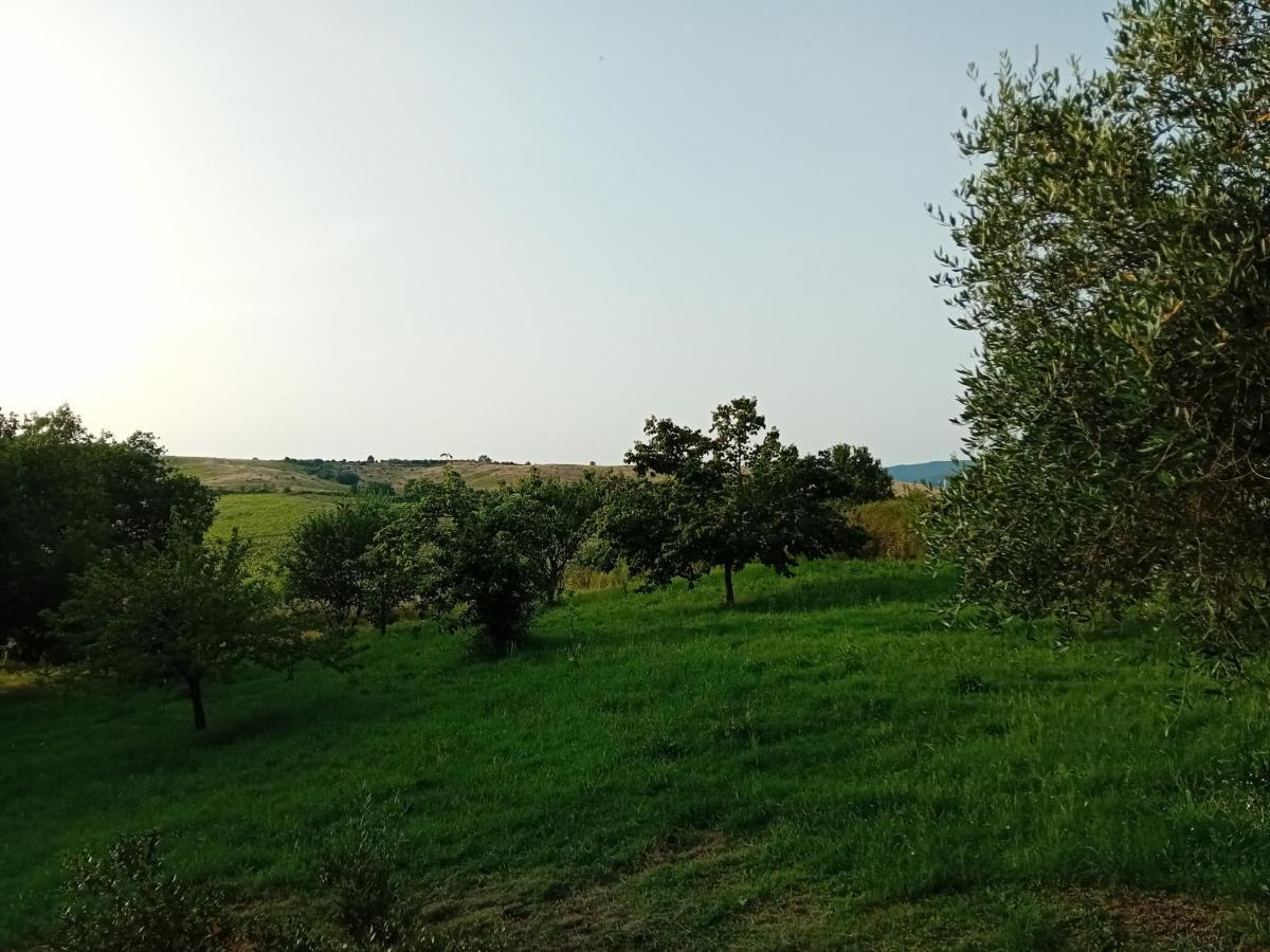 Borgo De' Muracci Ribolla Kültér fotó