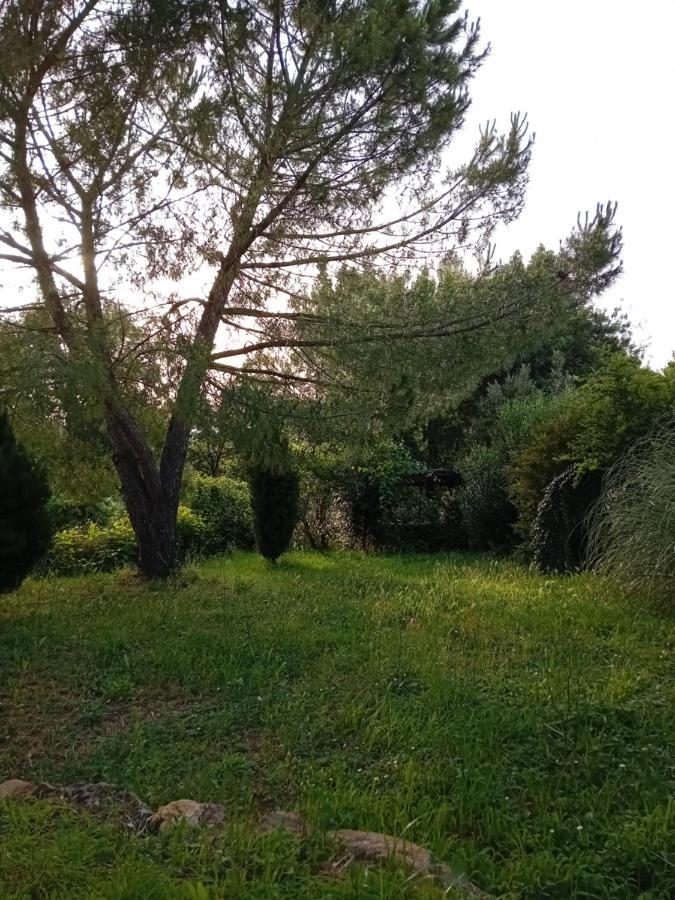 Borgo De' Muracci Ribolla Kültér fotó