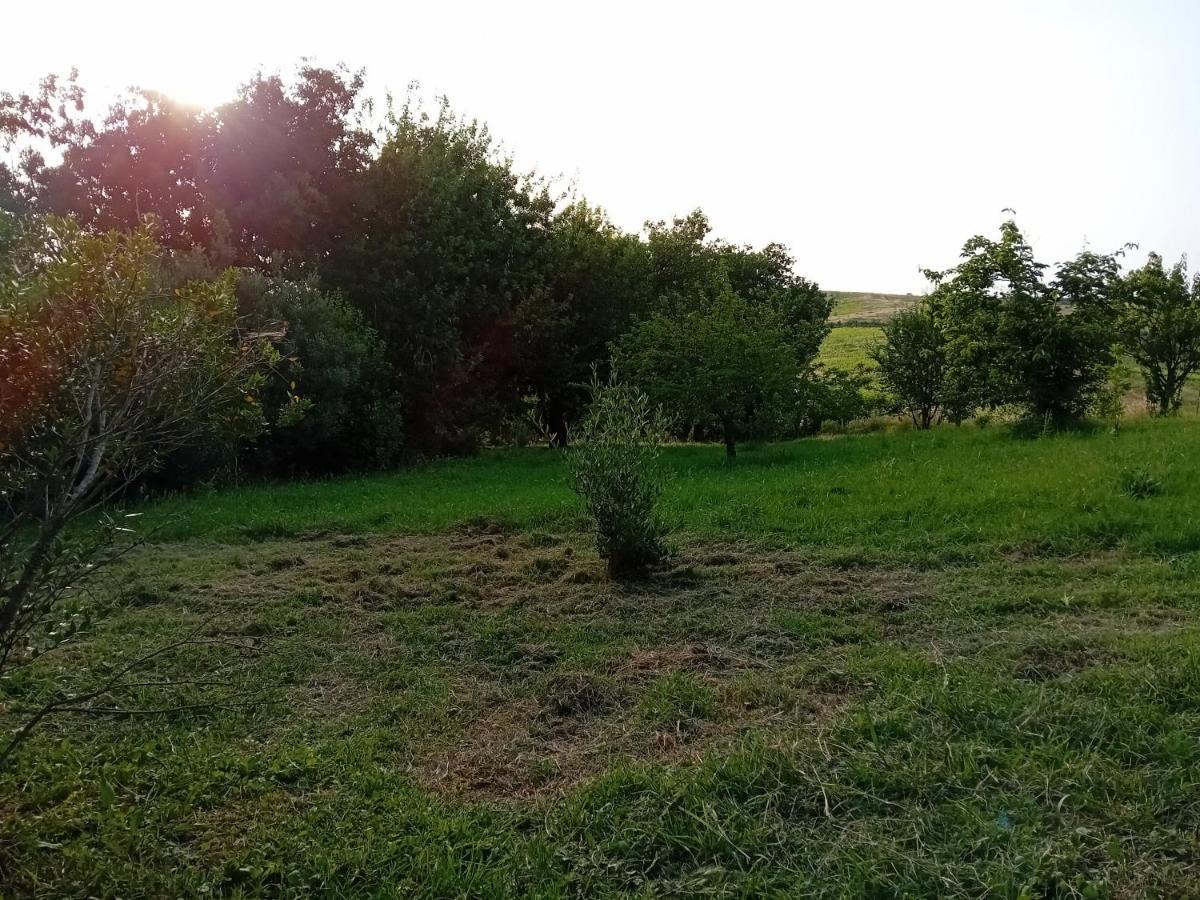 Borgo De' Muracci Ribolla Kültér fotó