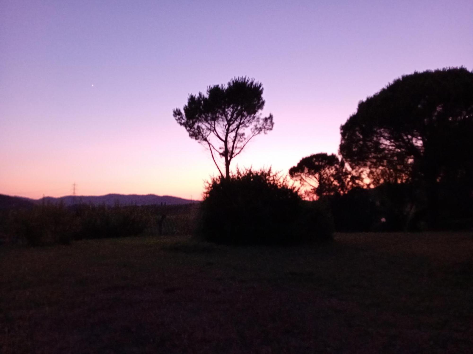 Borgo De' Muracci Ribolla Kültér fotó